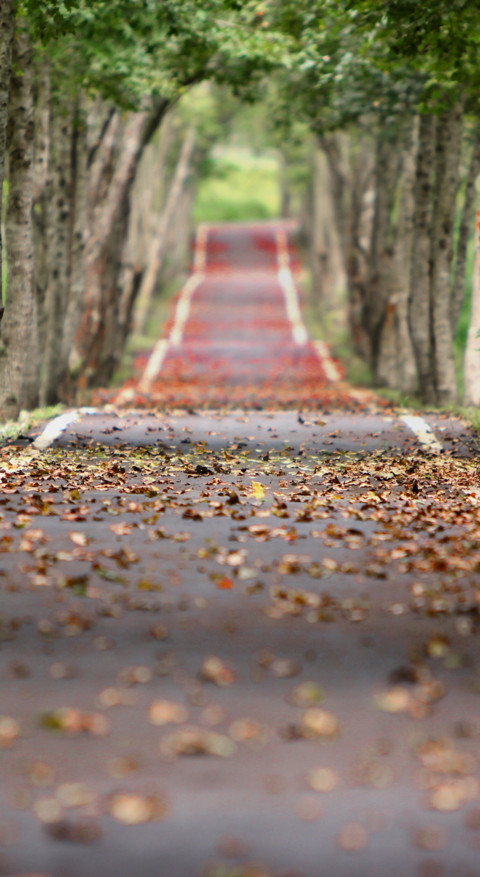 Roads & Pathways (12) screenshot