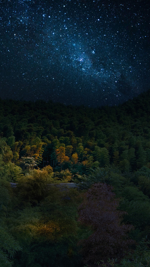 In the deep and secluded bamboo shadows of nanshan screenshot
