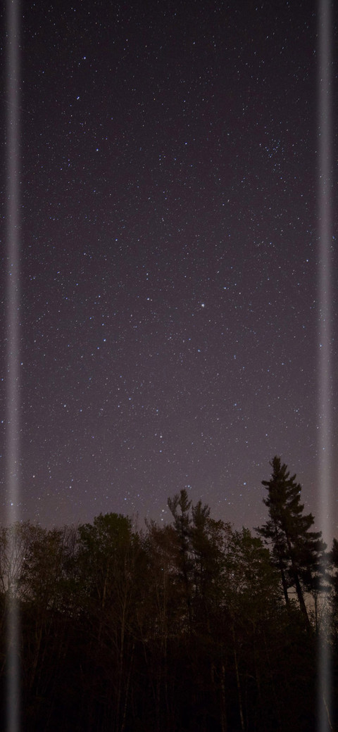 星河树影 screenshot