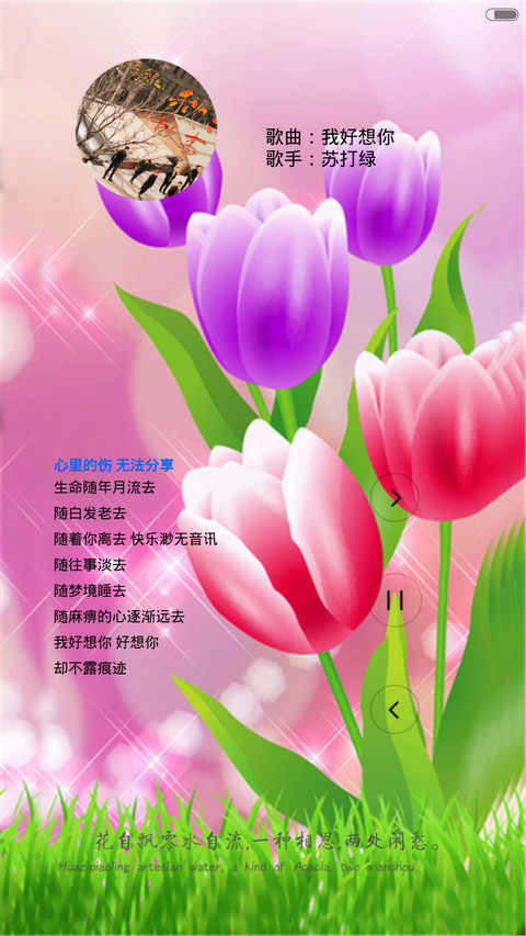 中国清新风（锁屏动态+全图标） screenshot