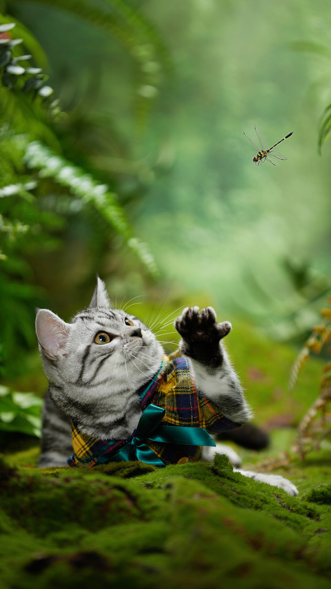 Little tiger spots catching dragonflies screenshot