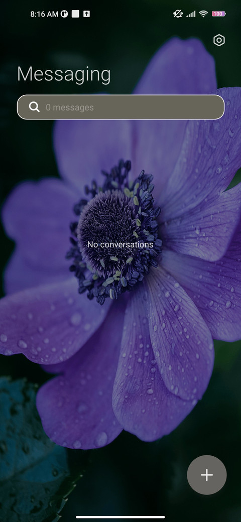 Vinca blue screenshot