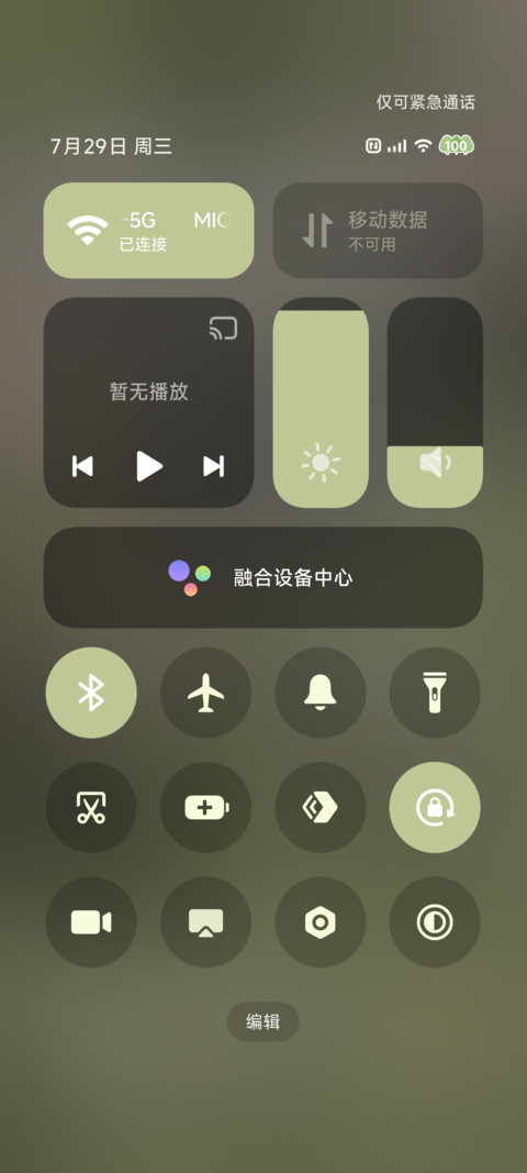 春野有猫 繁花为伴 screenshot