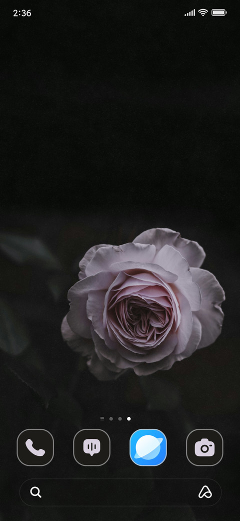 Blossom Rose screenshot