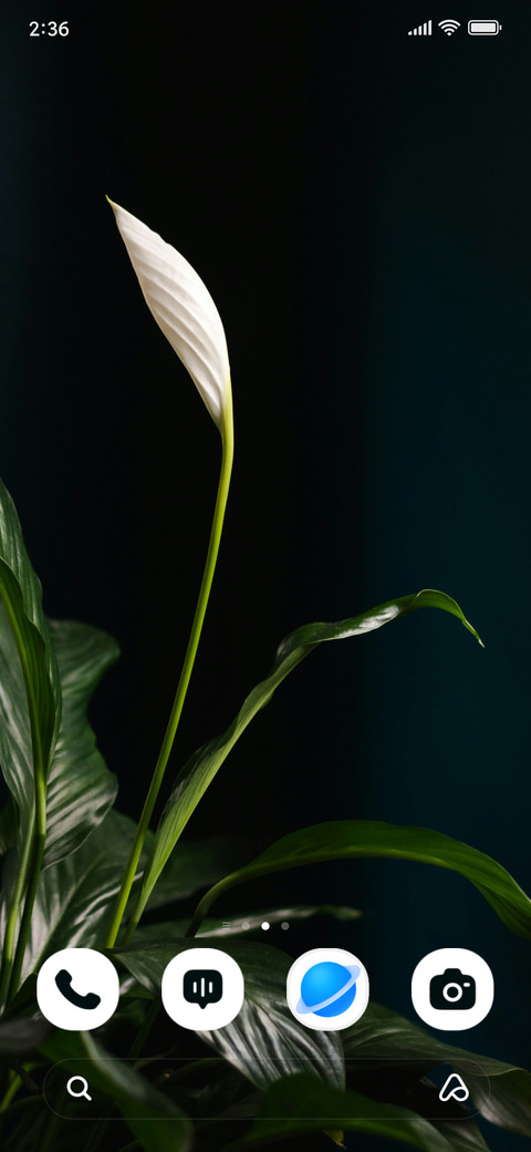 Ivory Blossom screenshot