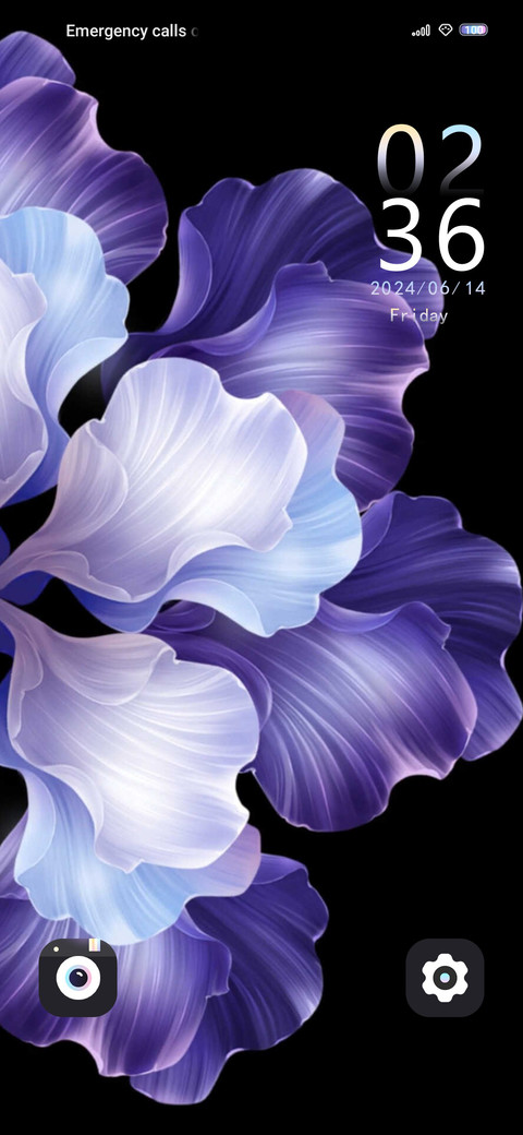 Blossoms screenshot