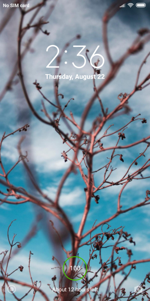 Dead branches screenshot