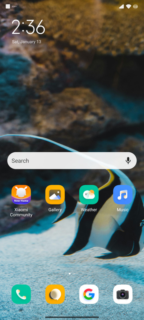 ZEBRAFISH_V15 screenshot