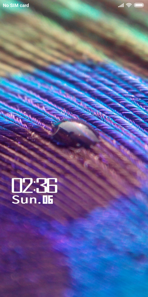Peacock Feather_DWM2 screenshot