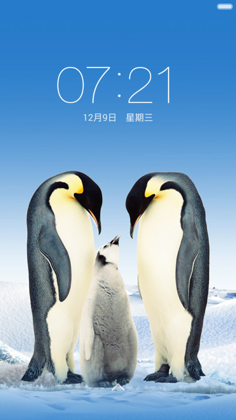 企鹅家园 screenshot