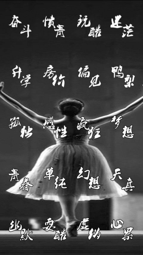 呐喊吧！我们的宣言（多锁屏+全图标） screenshot