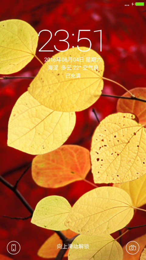 最美树叶 screenshot