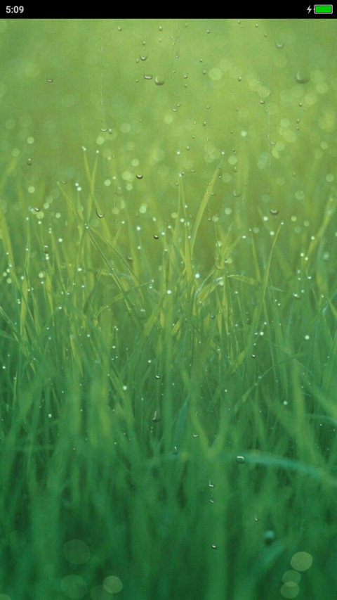 Segar Light screenshot
