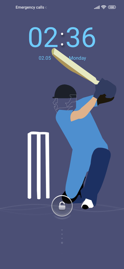 sports cricket screenshot