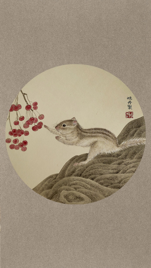 鼠来宝 screenshot
