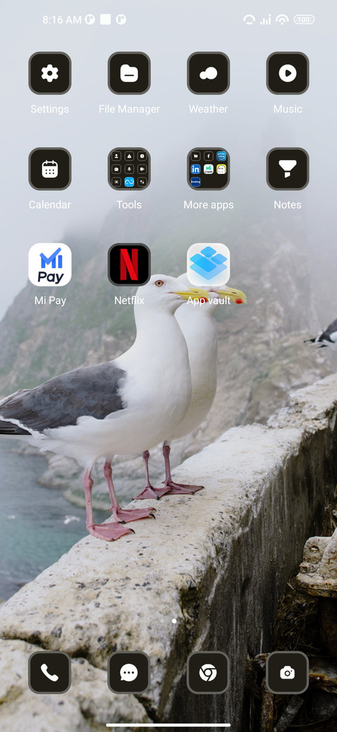 seagull screenshot