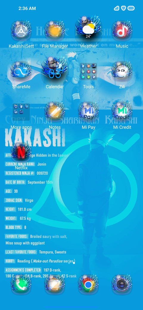 ERIKAKASHI screenshot