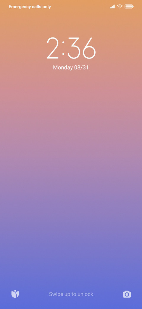 FLUX screenshot