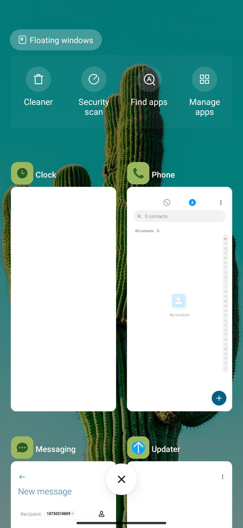 Plant Cactus screenshot
