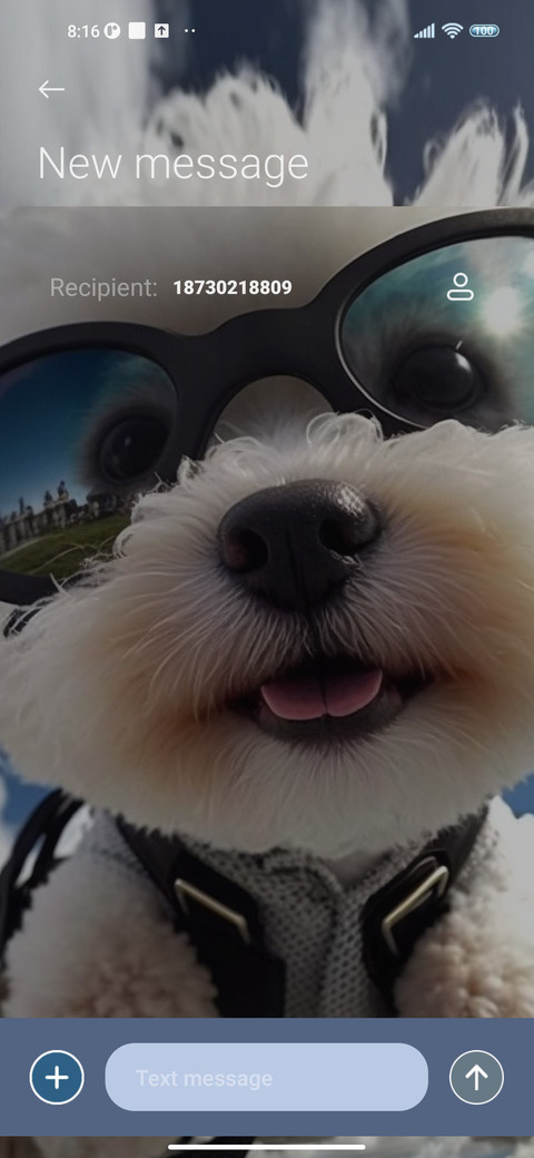 Puppy is an pilot screenshot