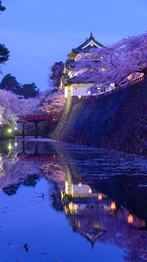 Spring is here screenshot
