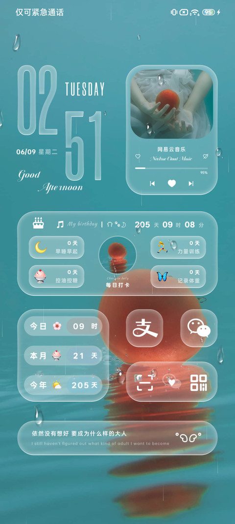 ins夏日旋律 screenshot