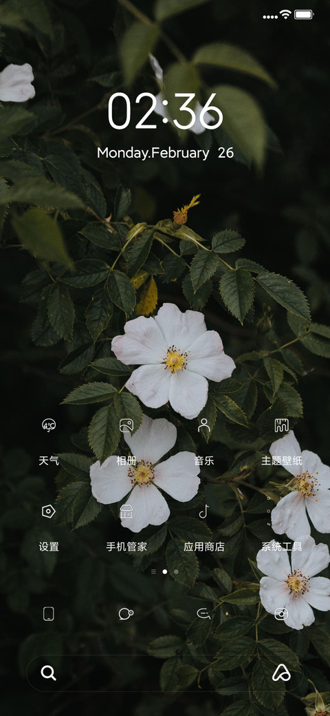 雏菊小清新 screenshot
