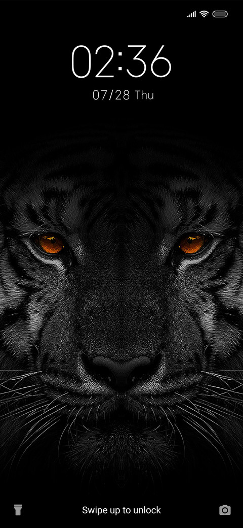 Black Tiger screenshot
