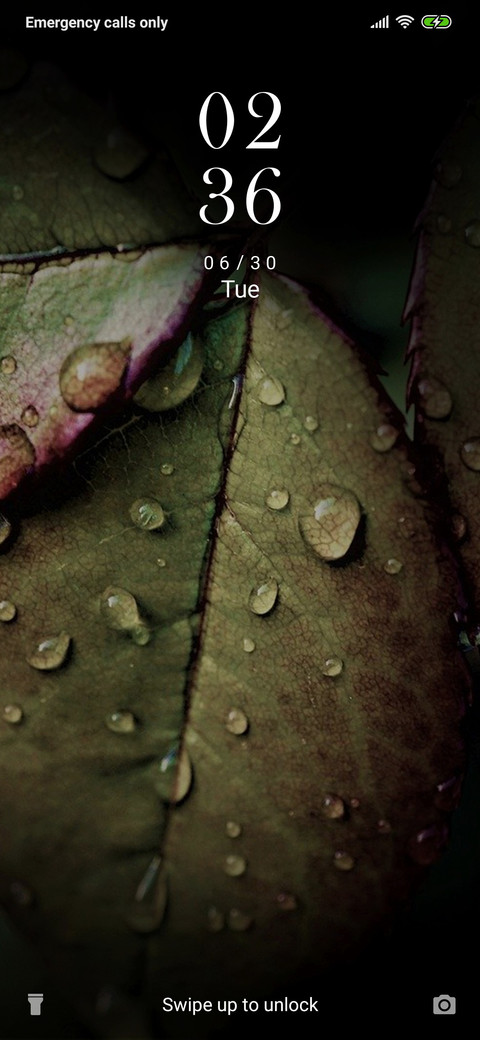 Rainy Leaves_3MDS screenshot