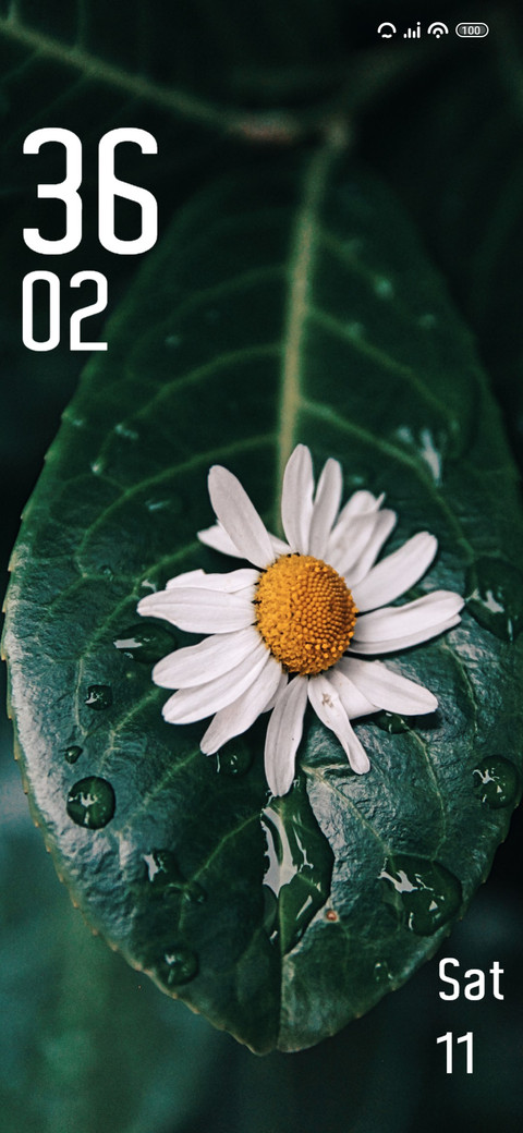 Leaf screenshot