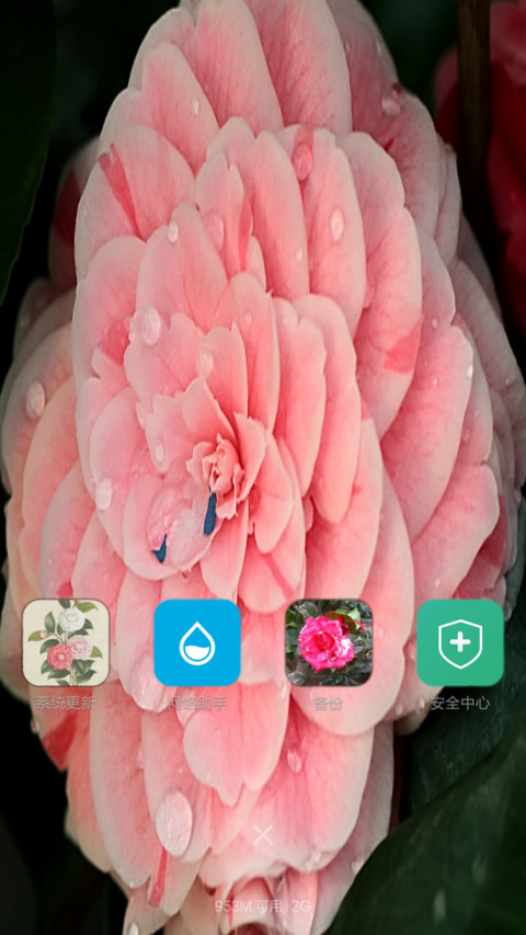 茶语嫣然 screenshot