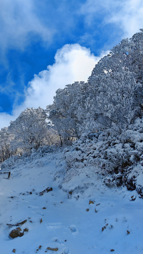The snowy ridge is vast, desolate, and silent. screenshot