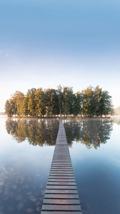 Old Wooden Bridge in Park screenshot