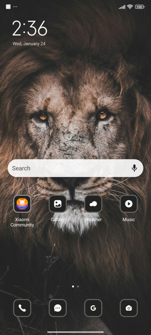 Brown Lion screenshot
