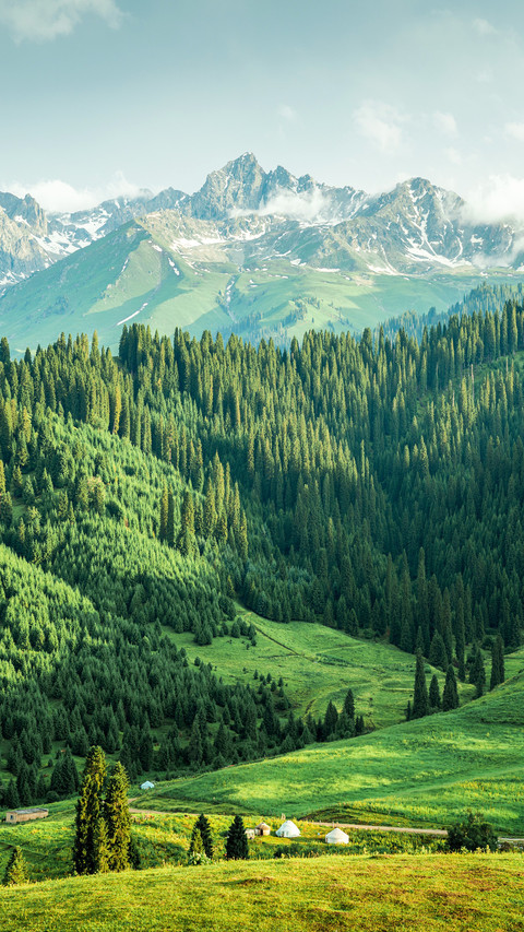 The charm of the chaxi grassland is infinite screenshot