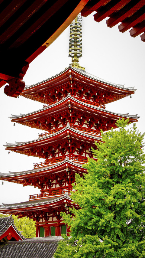 日本门脸浅草寺 screenshot