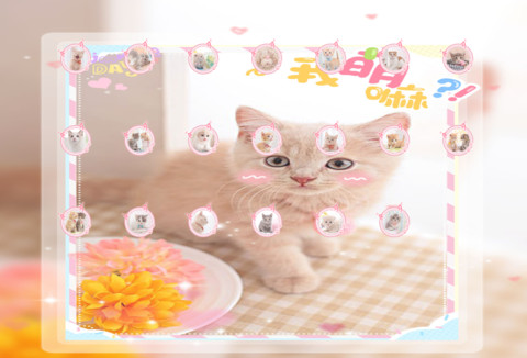 快乐小萌猫 screenshot