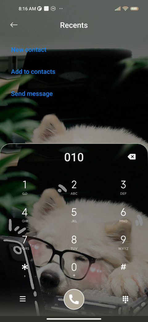 Ins is Money dog screenshot