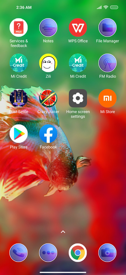 Colorfull Fish screenshot