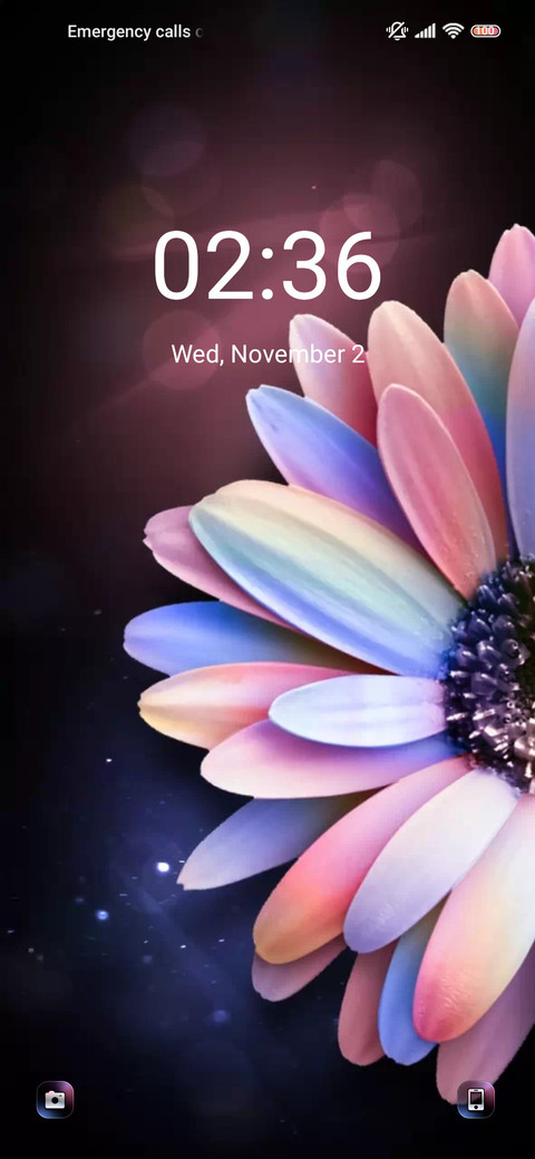 Pink purple flower screenshot