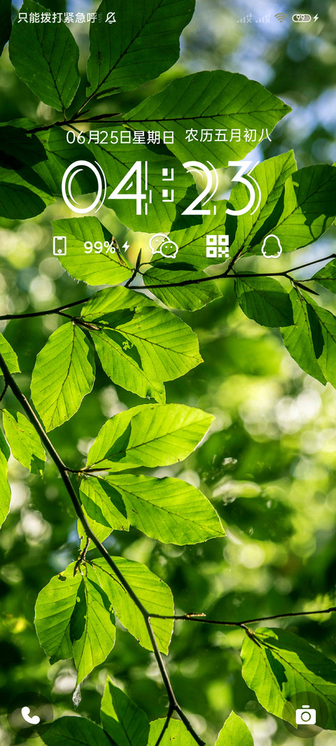夏日绿荫 screenshot