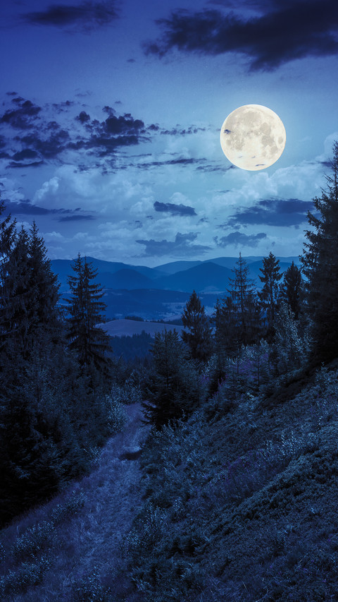 Moon screenshot