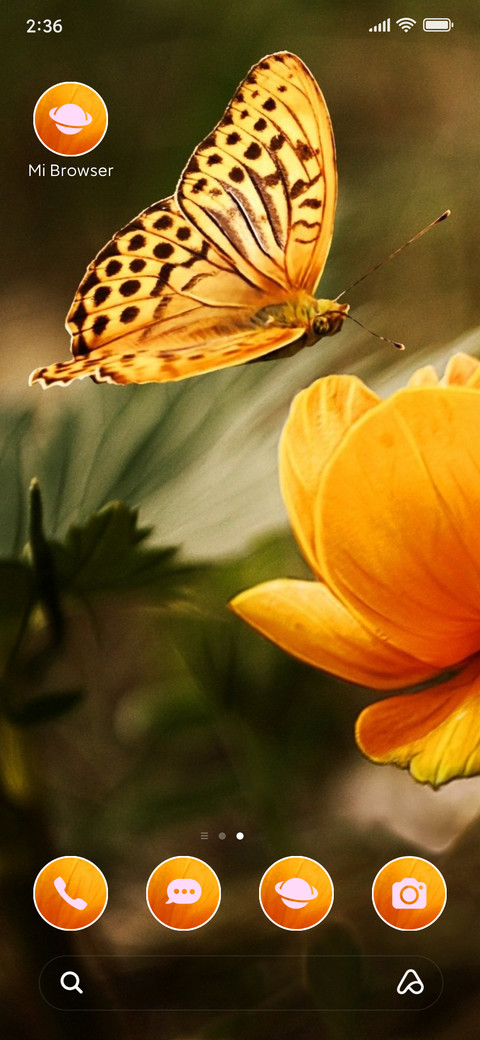 nature butterfly screenshot
