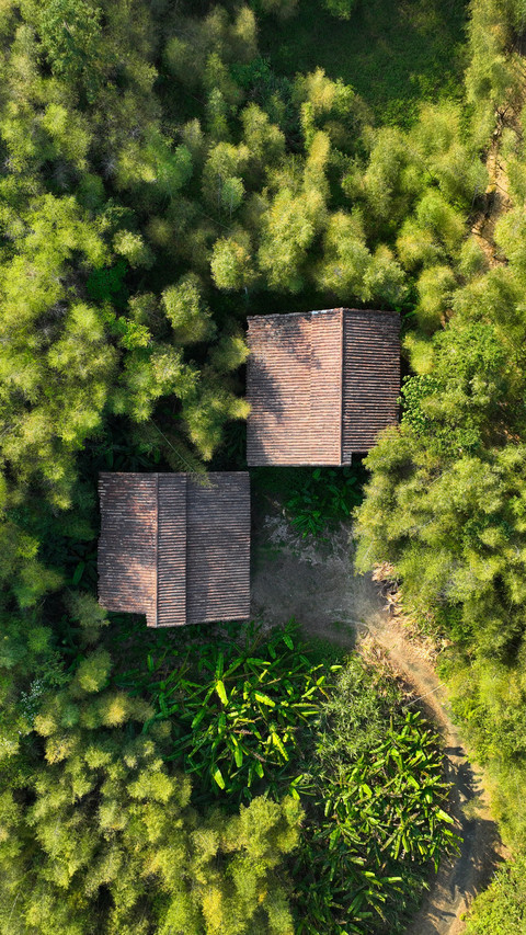 Aerial view of the autumn scenery of danfeng village screenshot