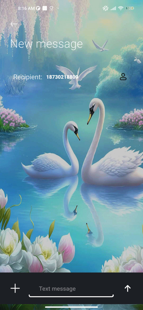 Dream Swan Lake screenshot