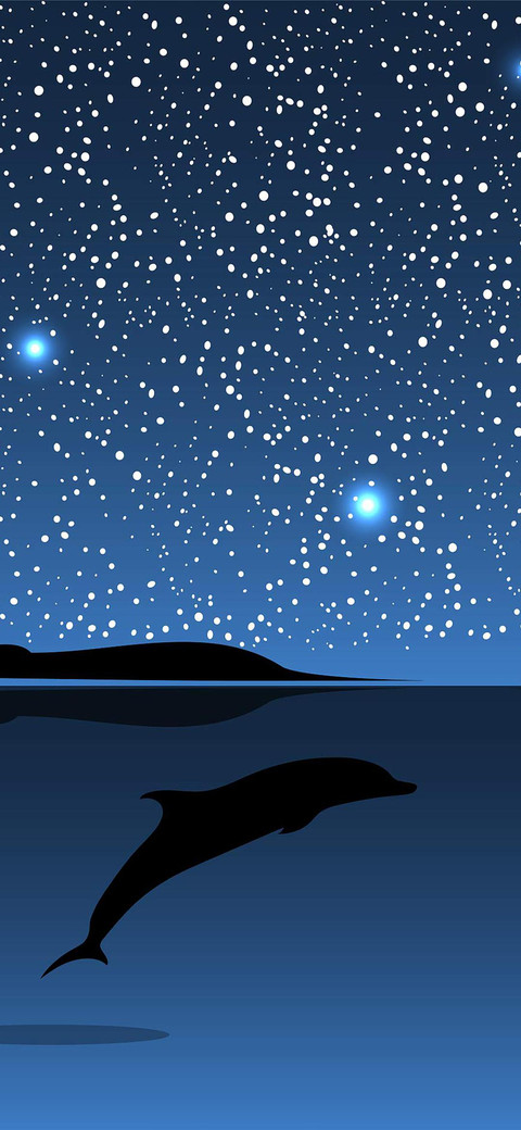 夜晚海豚星光-视觉中国 screenshot