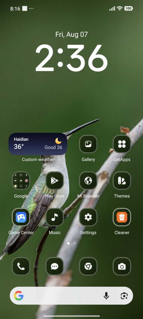 Bird screenshot