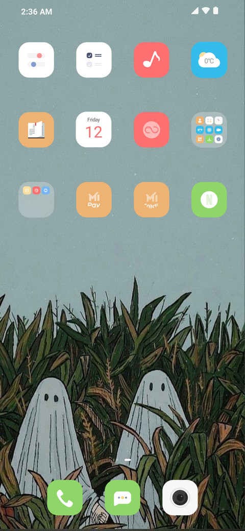R screenshot