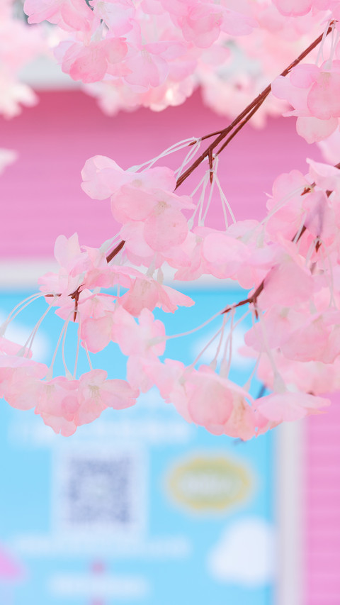 春和景明-拍信图库 screenshot