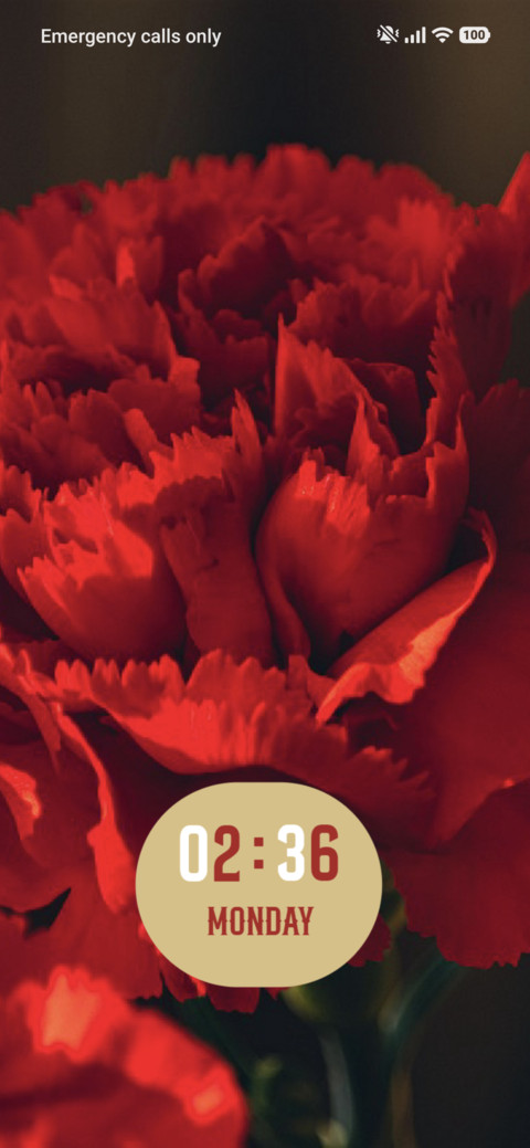 Carnations screenshot